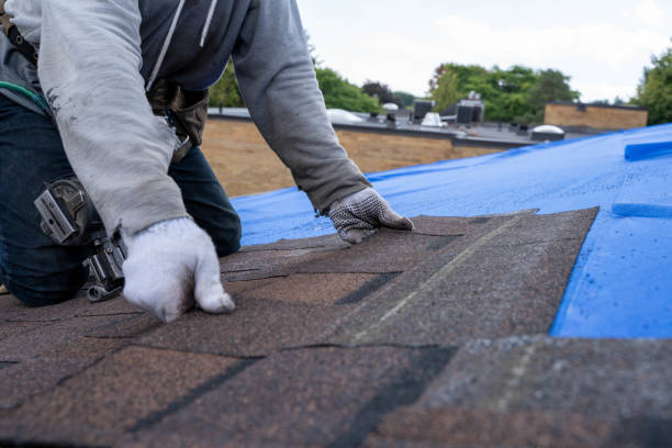 Tile Roofing Contractor in Hamburg, IA