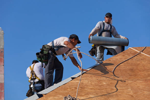 Best Best Roofing Contractors  in Hamburg, IA