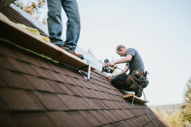 Best Commercial Roofing Services  in Hamburg, IA